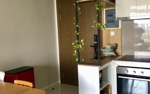 2 Bedrooms Apartment, Masteri An Phu, Thao Dien, District 2